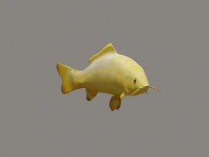 koi fish 3D Модель