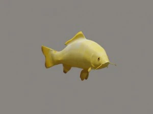 koi fish 3D Model