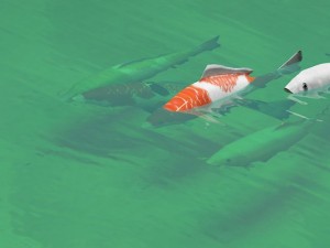 koi fish 3D Модель