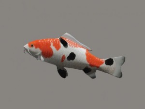 koi fish 3D Модель