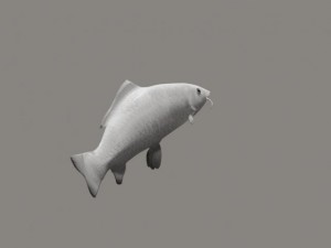 koi fish 3D Модель