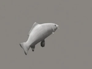 koi fish 3D Model