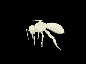 lowpoly bee 3D Model