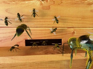 bee Modello 3D