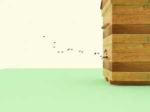 bee Modèle 3D