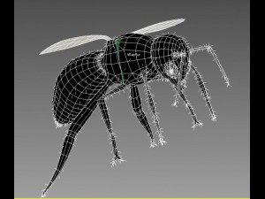 bee Modèle 3D