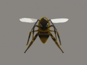 bee Modèle 3D