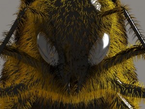 bee Modèle 3D
