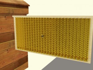 bee Modèle 3D
