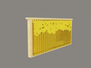 bee Modèle 3D