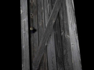 old door 3 3D Model