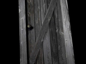 old door 3 3D Model