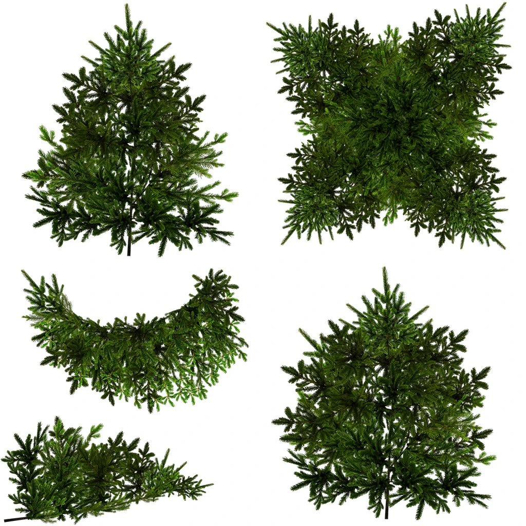 tree CG Textures .c4d .max .obj .3ds .fbx .stl .blend 
