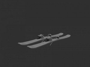 ski tvintip Model 3D