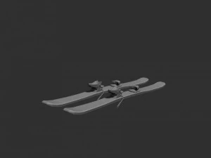 ski tvintip 3D Model