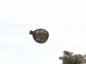 semtex grenade 3D Модель