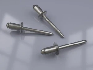 construction rivets 3D Model