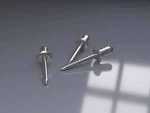 construction rivets 3D Model