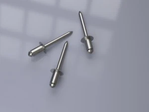 construction rivets 3D Model
