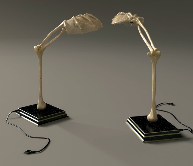 handlampskeleton 3D Модель .c4d .max .obj .3ds .fbx .stl .blend 