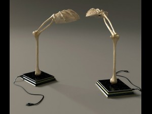 handlampskeleton 3D Модель