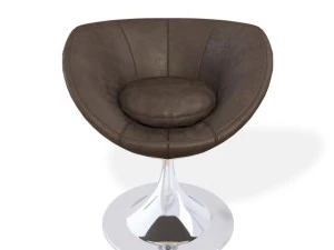 Лабораторна колекція Домінго Салотті 3D Модель