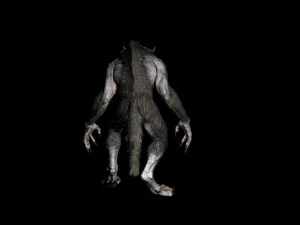 skyrim werewolf c4d 3D Model