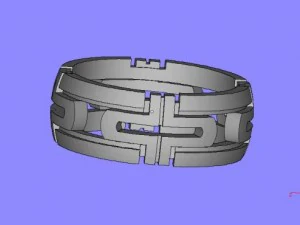 ring 001 3D Model