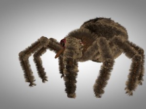 brown spider Modèle 3D