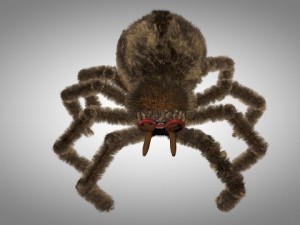 brown spider Modèle 3D