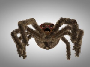 brown spider Modèle 3D