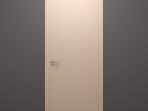 the simple door 3D Model