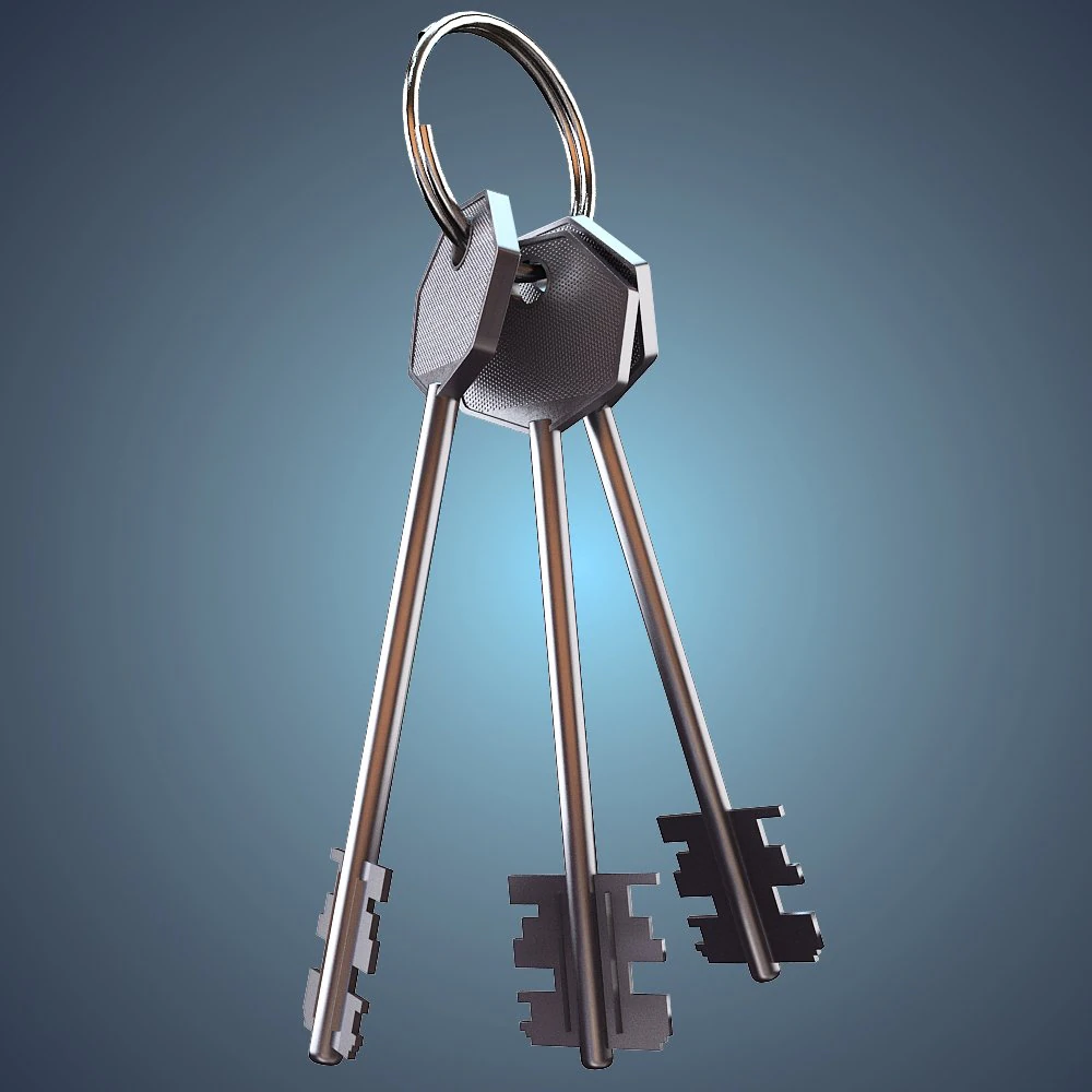 bunch of keys 3D Model .c4d .max .obj .3ds .fbx .stl .blend