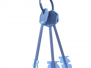 bunch of keys Modello 3D