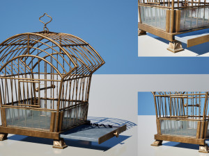 Birdcage Geo 3D Модель