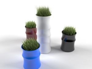 bambo Modello 3D