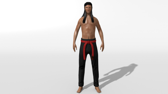 karate character Model 3D .c4d .max .obj .3ds .fbx .stl .blend 