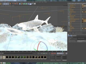 shark Model 3D