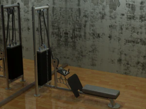 extensie van de onderrug 3D Model