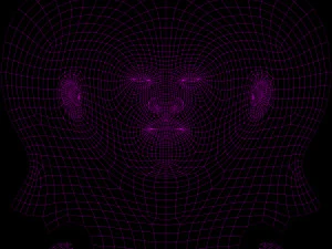 वाइकिंग 3D मॉडल