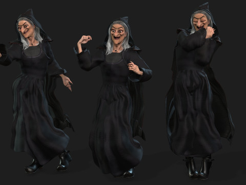 The witch High quality character full Rigged and Animated 3D Модель