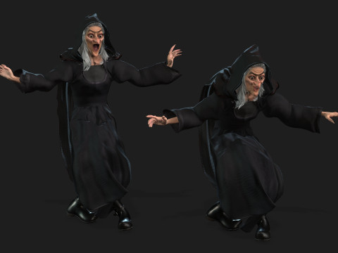 The witch High quality character full Rigged and Animated Model 3D