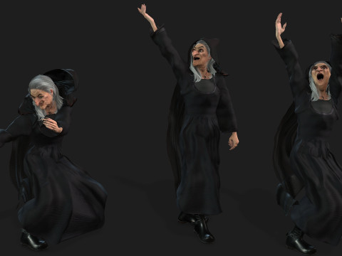 The witch High quality character full Rigged and Animated Model 3D