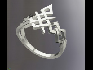 ring 0004 3D Model