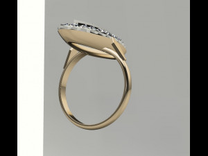 ring 0008 3D Modell