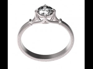 ring 55 3Dプリントモデル