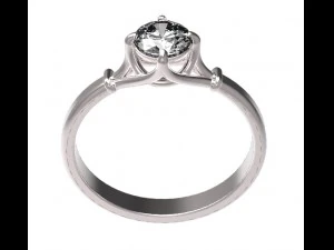 ring 55 3D Print Model