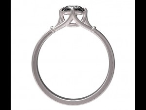 ring 55 3Dプリントモデル