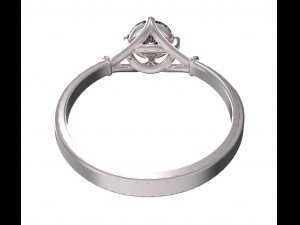 ring 55 3Dプリントモデル