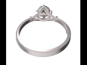 ring 55 3D Print Model